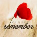 Red Poppy Symbol of Remembrance