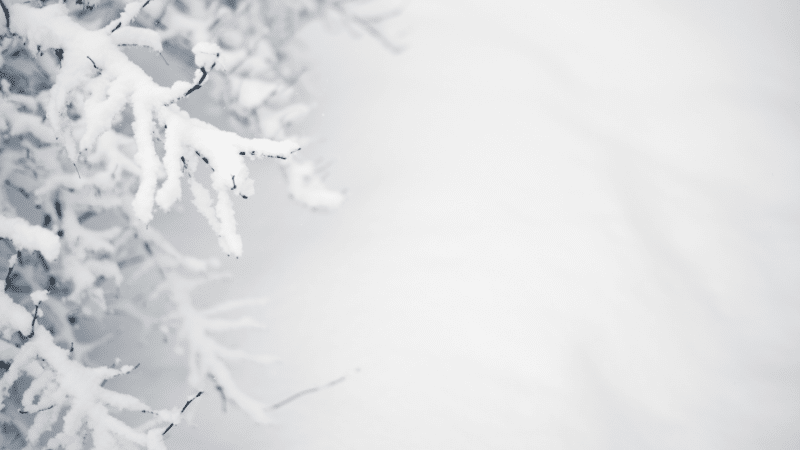 Winter hair damage and how to prevent it