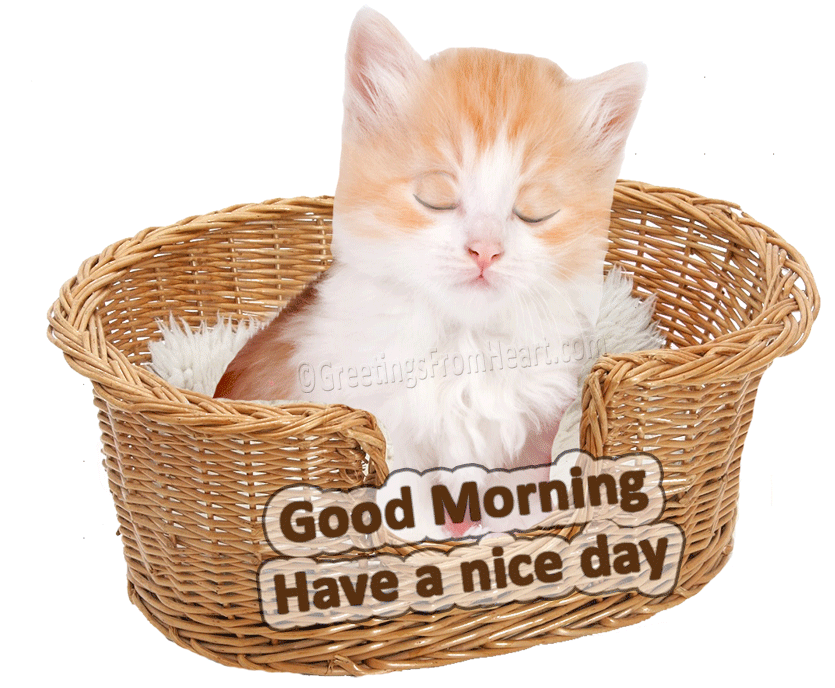 Good-morning-gif_good-morning-animated-gif-images-144