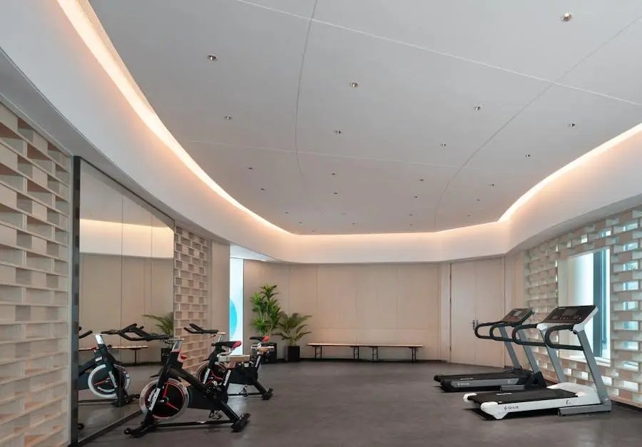 fitness investicija