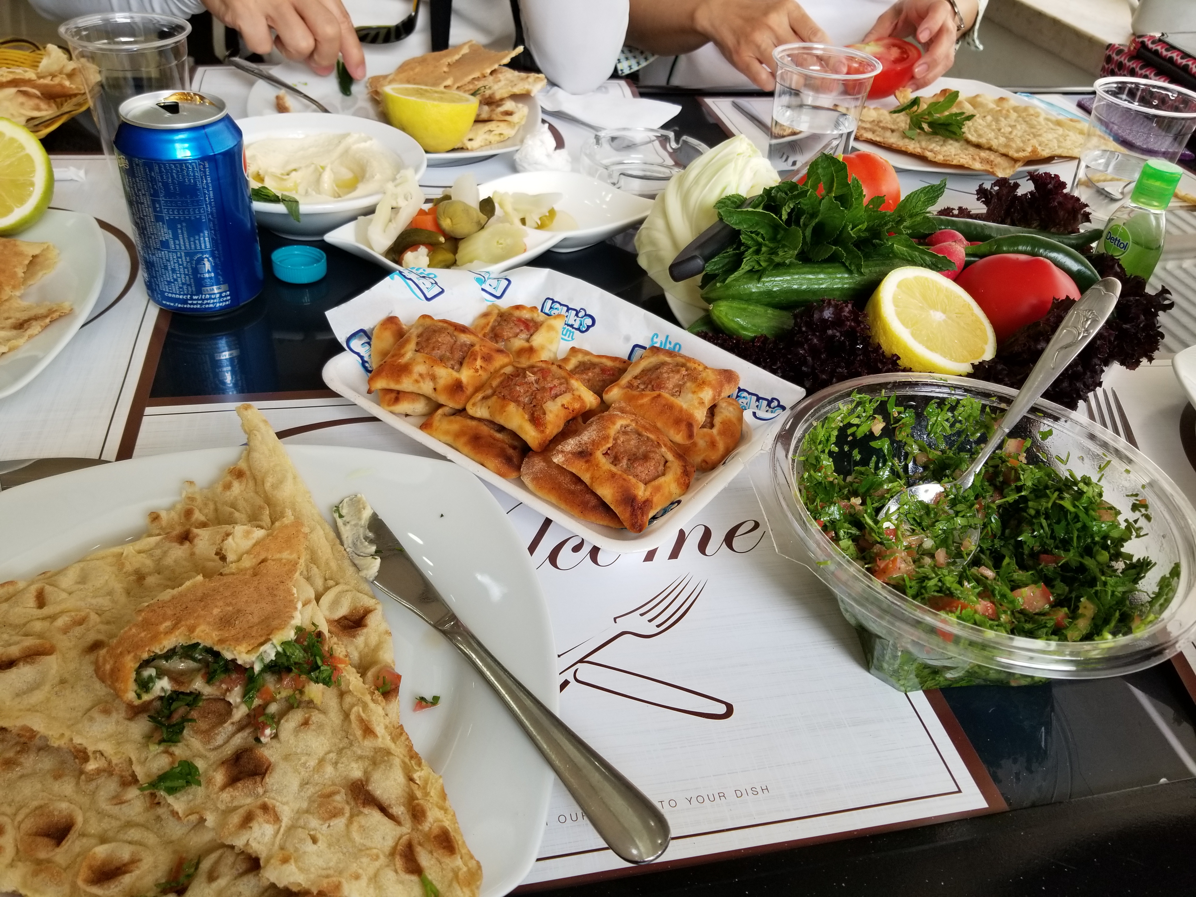 Sheep pie and fresh Fattoush salad