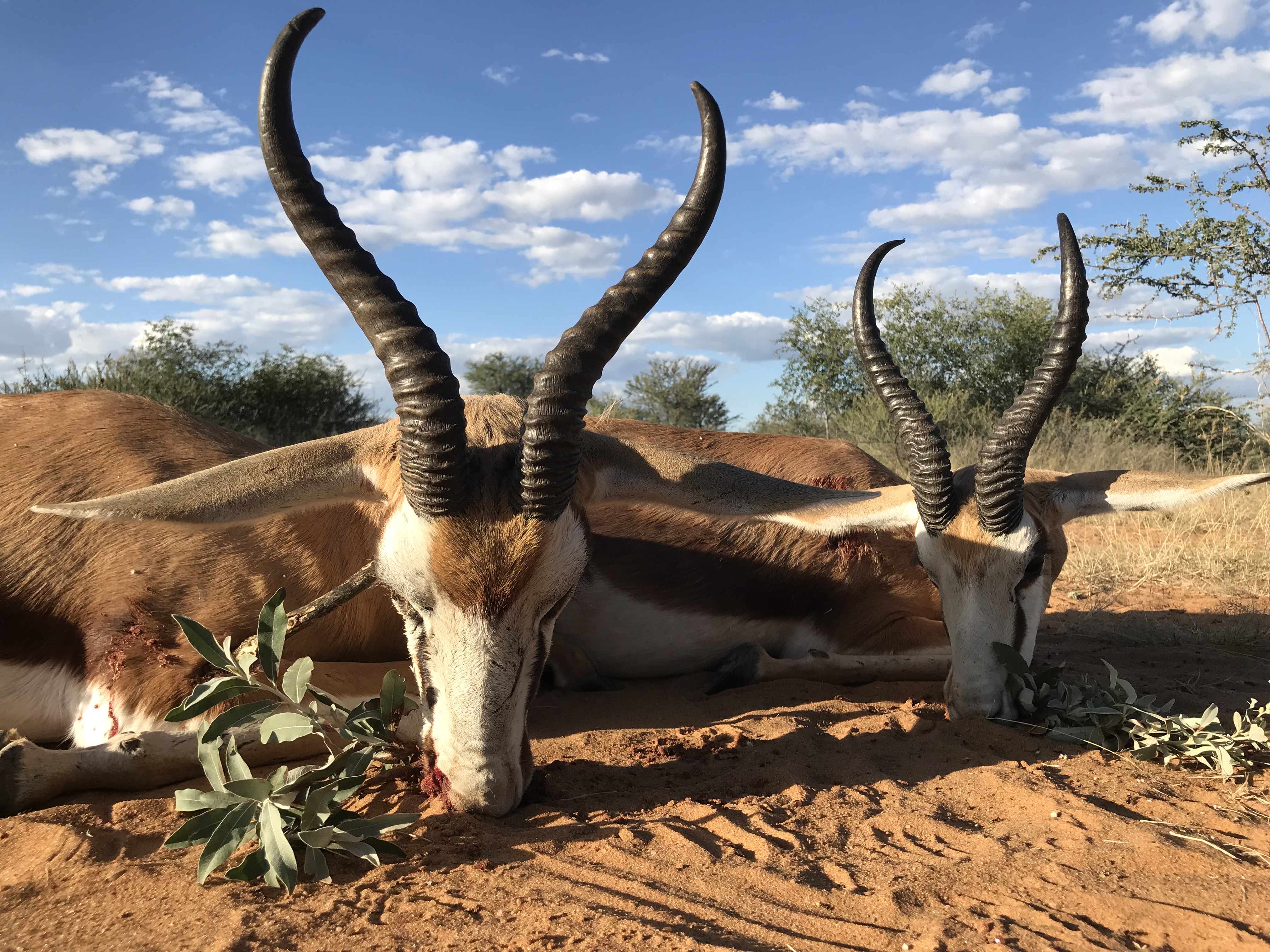 Namibia_2018_Bilder (166)