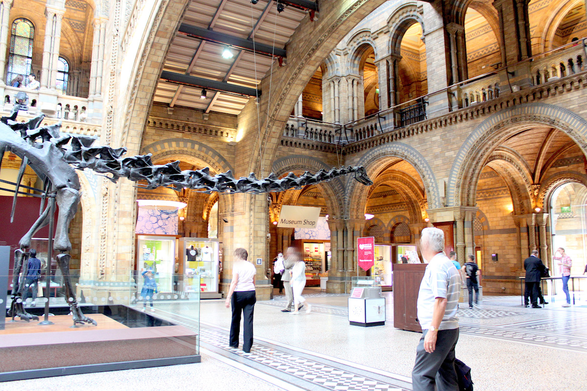 ロンドンサウスケンジントンの3大博物館 | TrimSkip