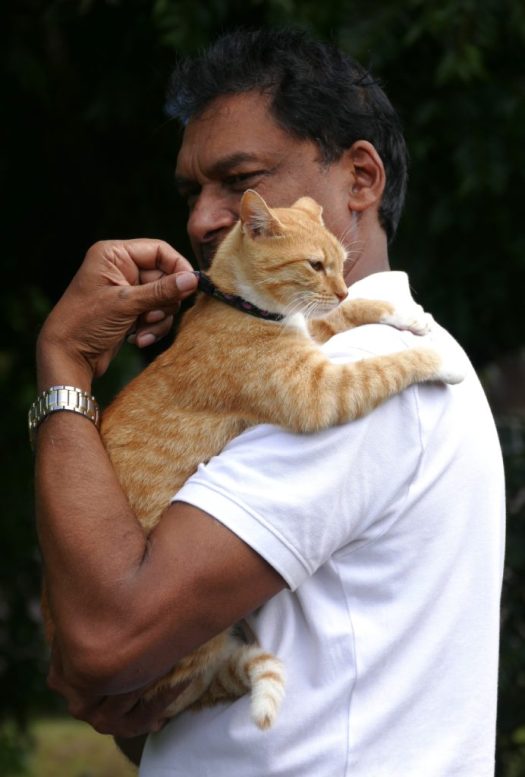 Bringing a cat
