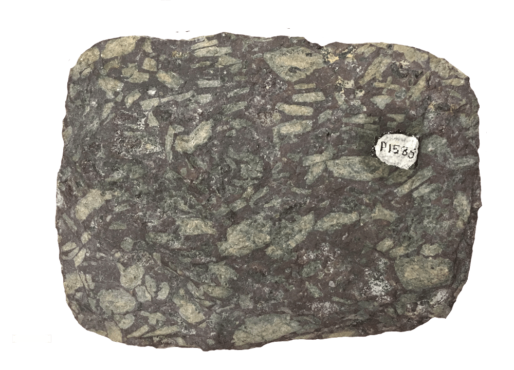 Andesite. An intermediate volcanic rock with pale crystals of plagioclase set in a basic pyroxene-rich matrix. Ordovician (450Ma), Portrane, Co. Dublin