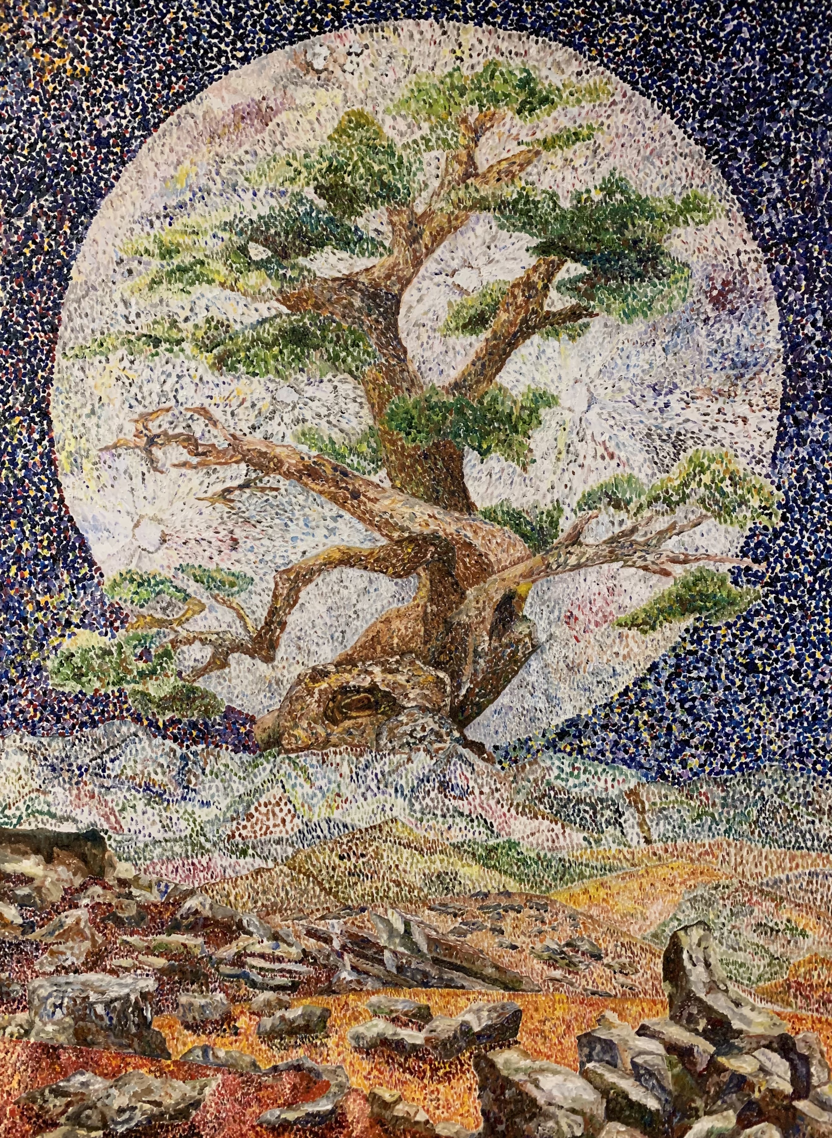 Tree Spring