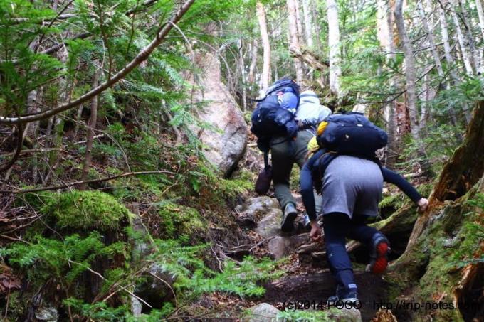 中山峠まで 中山峠まで