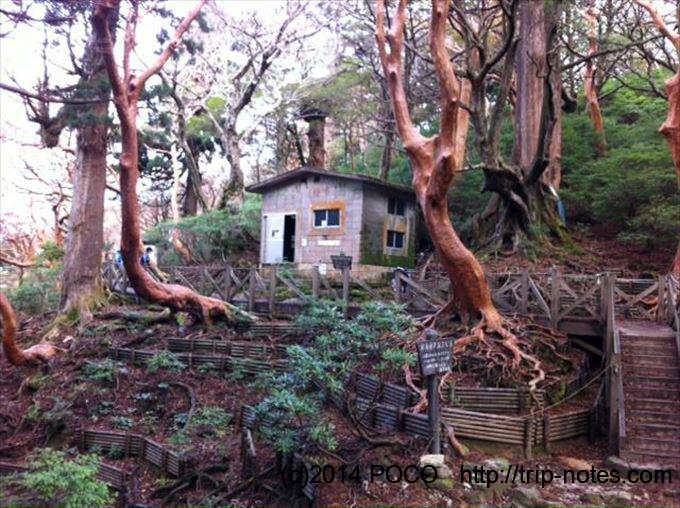 屋久島の高塚小屋（愛称：レモンガス赤津慎太郎小屋）がいろんな意味で