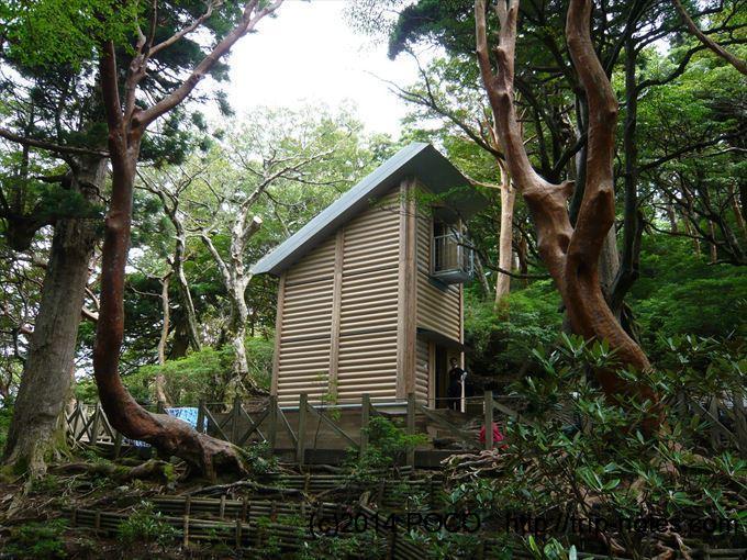 屋久島の高塚小屋（愛称：レモンガス赤津慎太郎小屋）がいろんな意味で