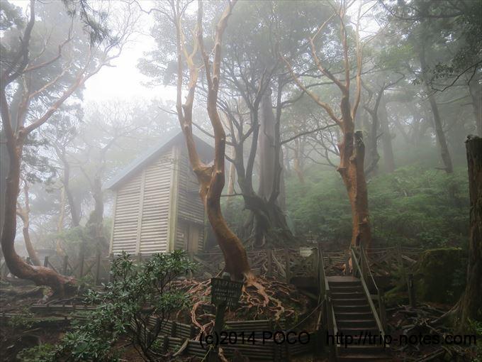 屋久島の高塚小屋（愛称：レモンガス赤津慎太郎小屋）がいろんな意味で
