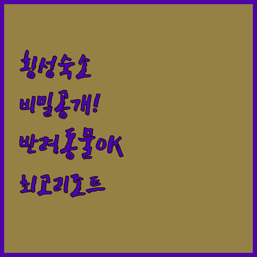 횡성 숙소의 숨겨진 매력 반려동물과 함께하는 통나무 캐빈에서 가족 리조트까지