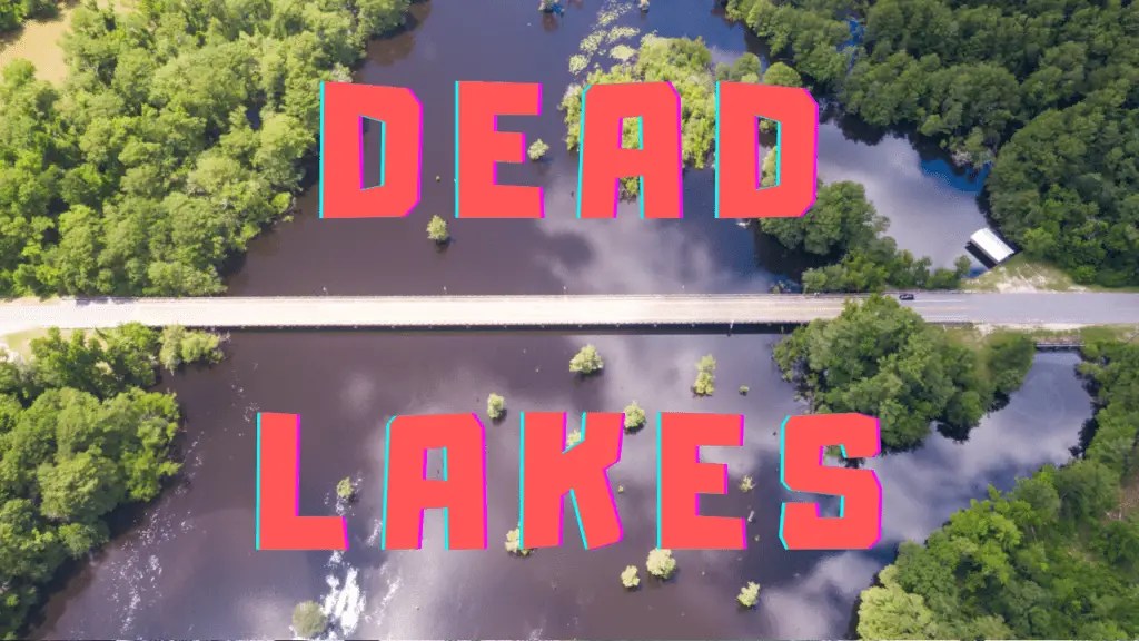 Kayaking The Dead Lakes Of Gulf County Florida Triphackr WALES 2 