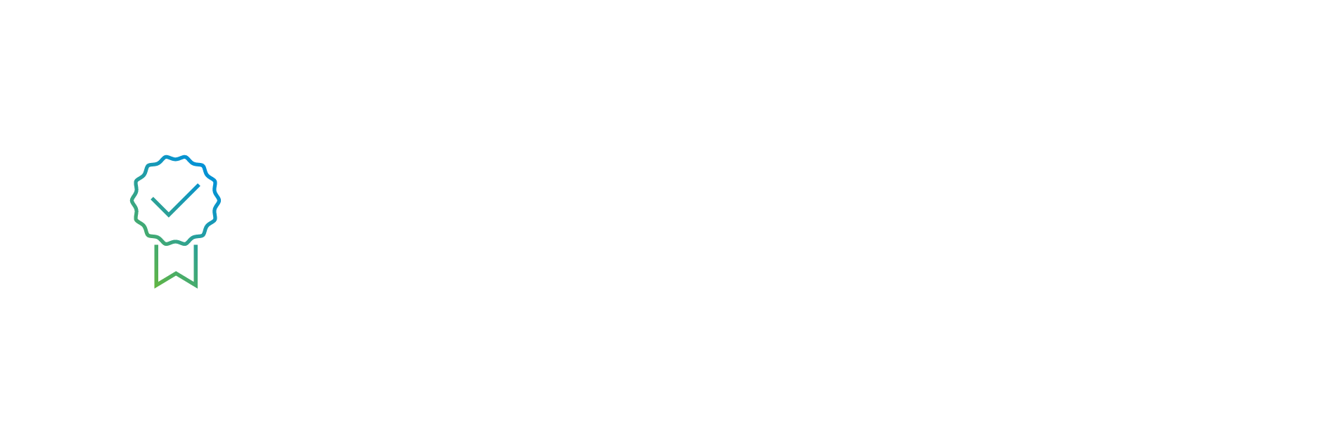 Network Virtualization