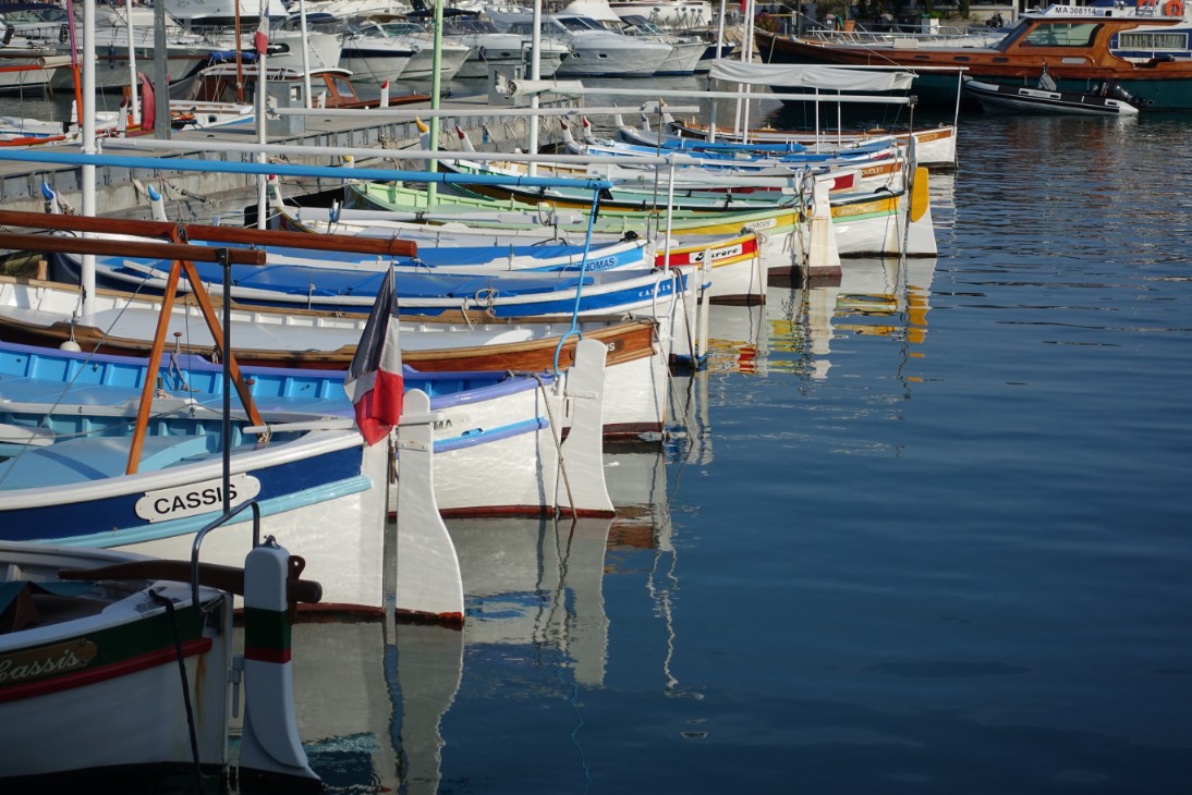 DSC00331