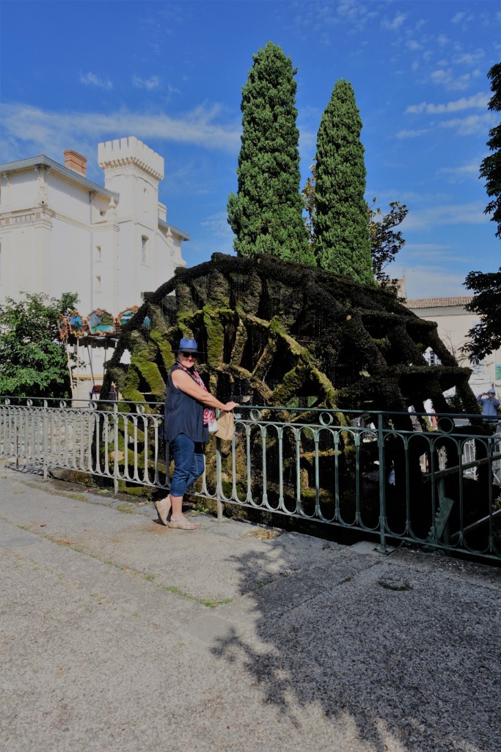 DSC00670 (2)