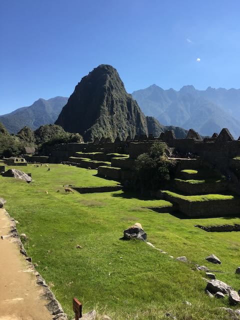 Machu Picchu