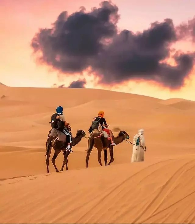 triptodesert