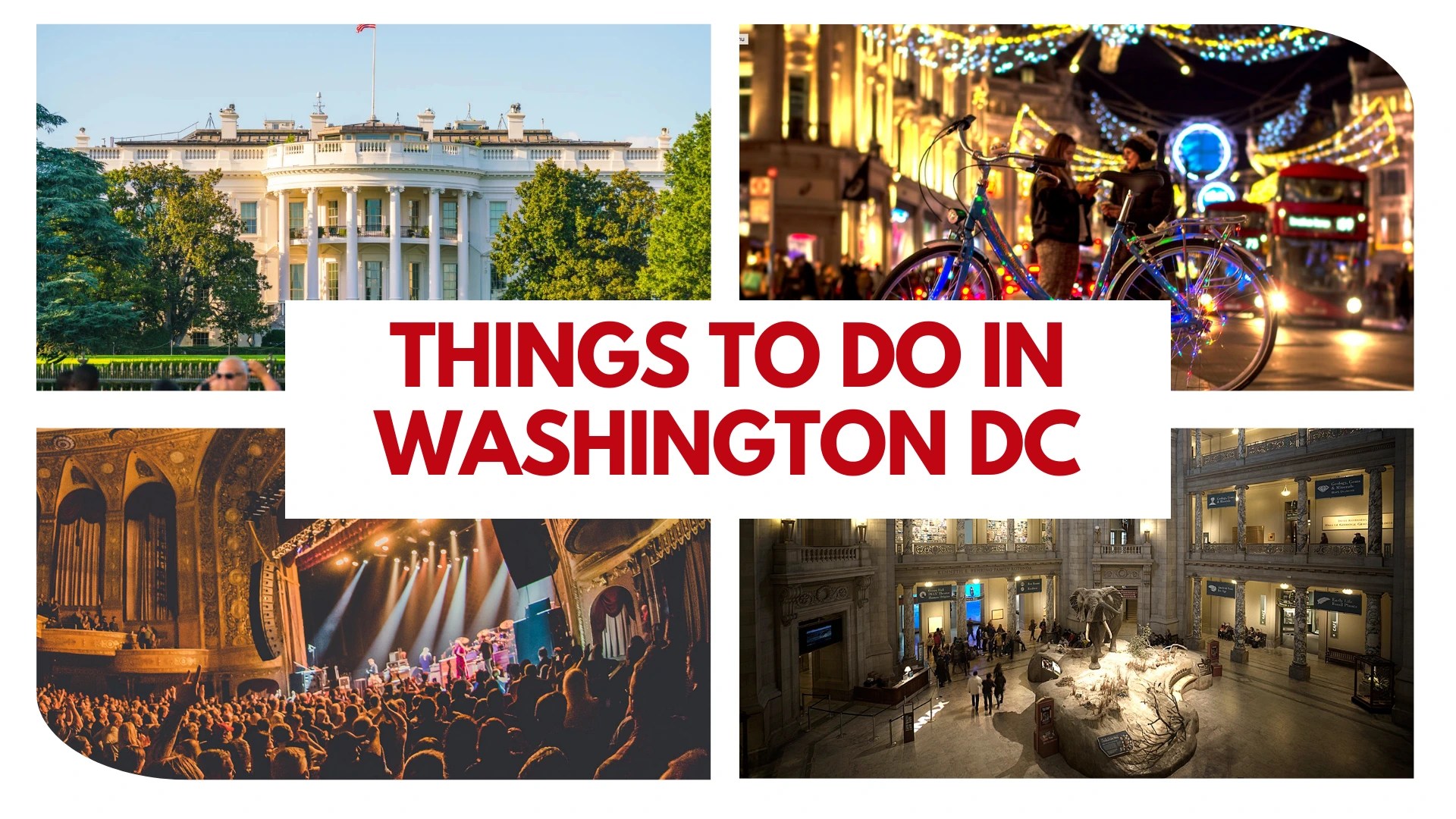 22 Things to Do in Washington DC: Fun, Adventure & Best of their Culture