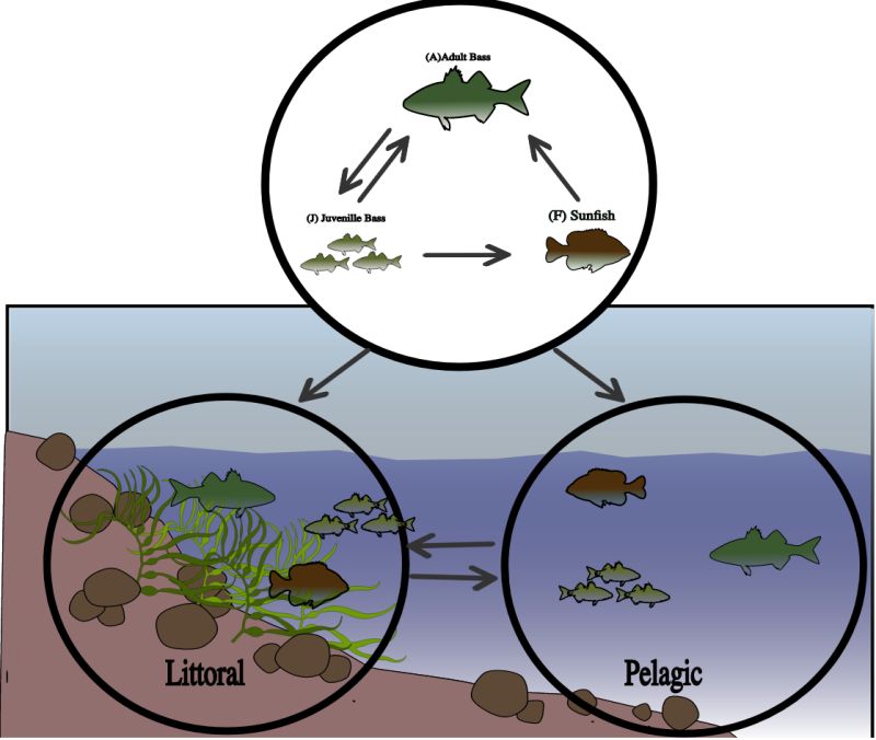 Github Tristan Kolla Tristan Kolla Github Io - Landscape Wallpaper Collection - Mobile Quality