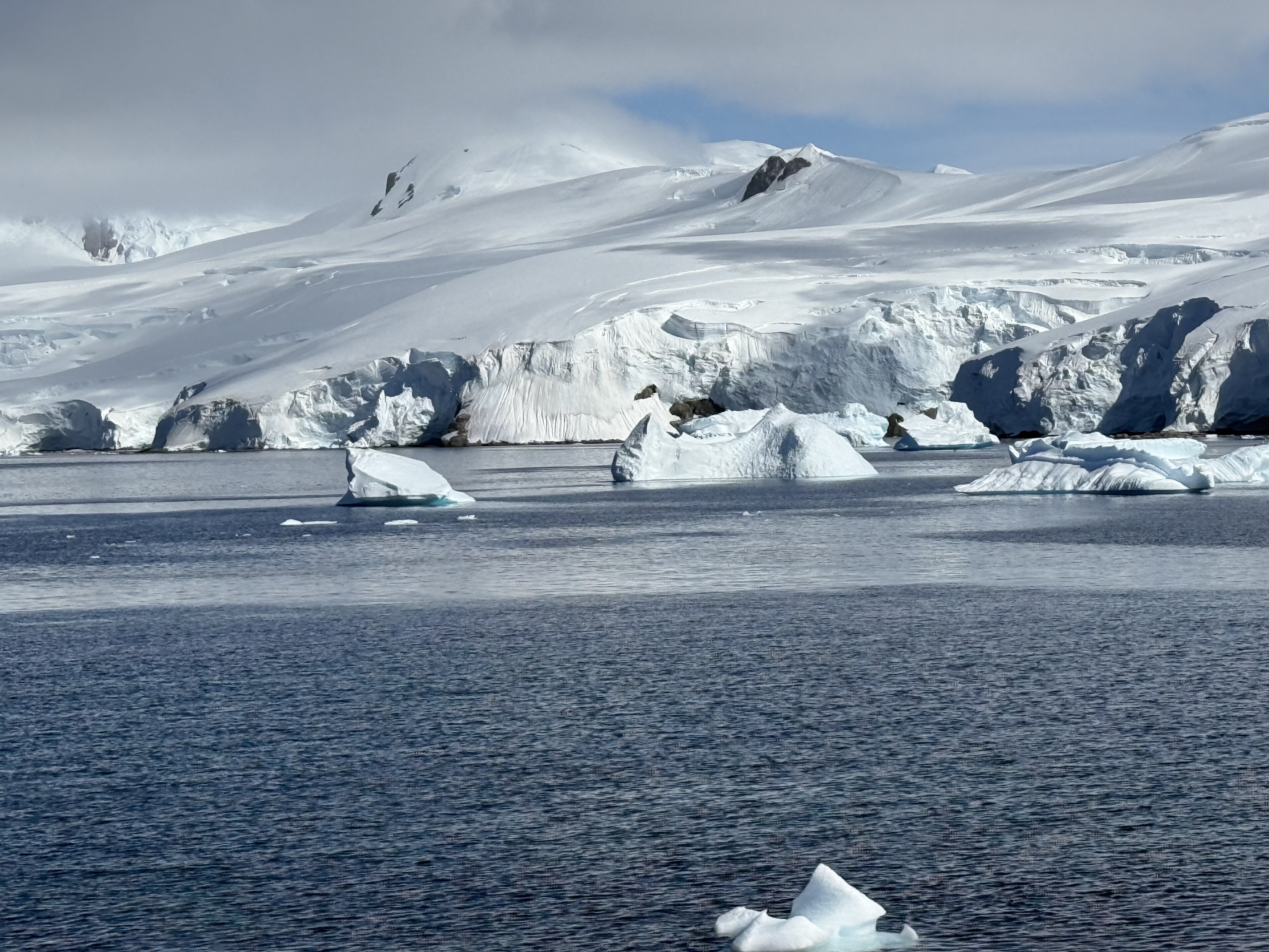 Icebergs and glaciers along the Antarctic Peninsula