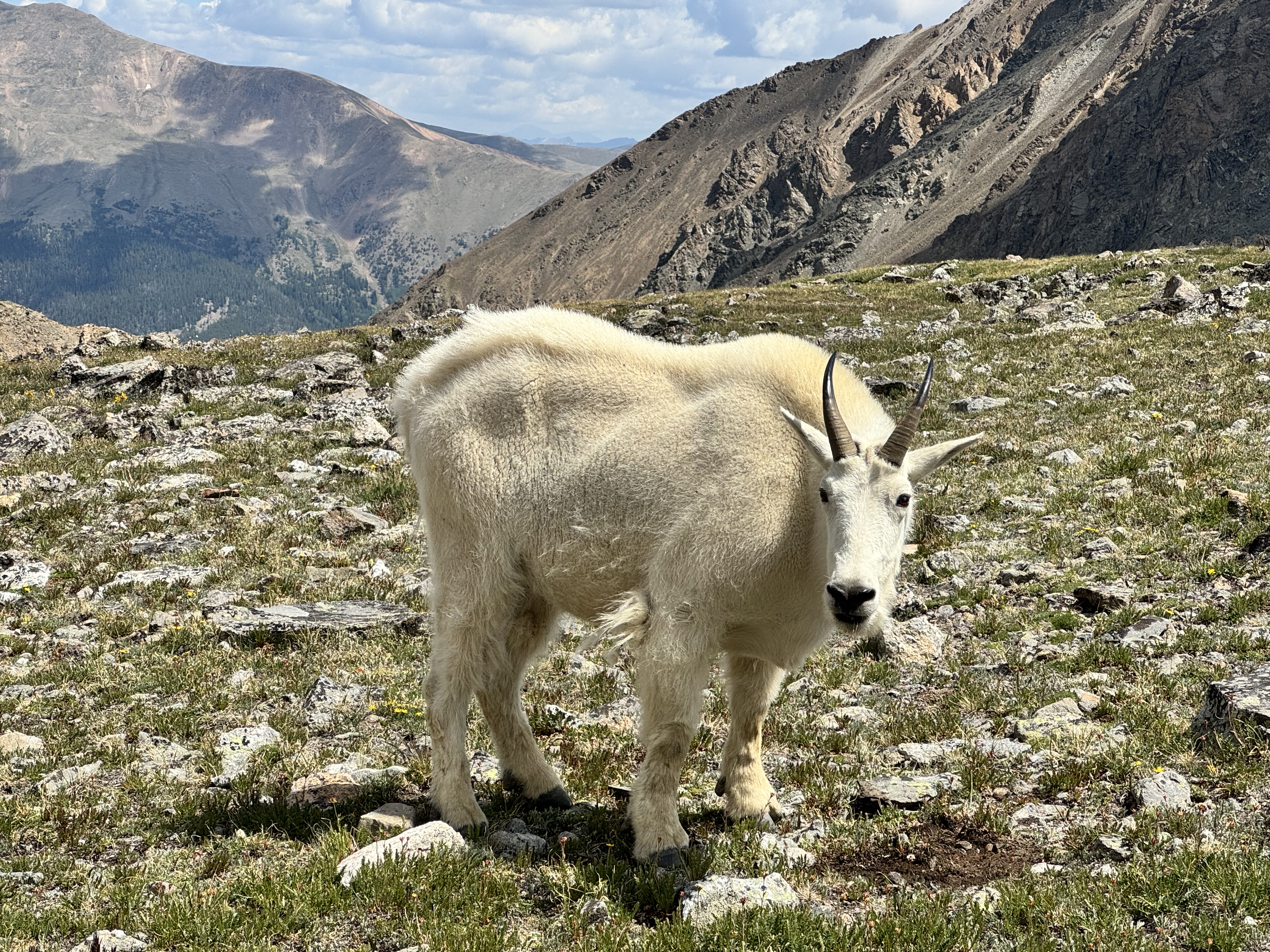 Colorado mountains and seasonal landscape