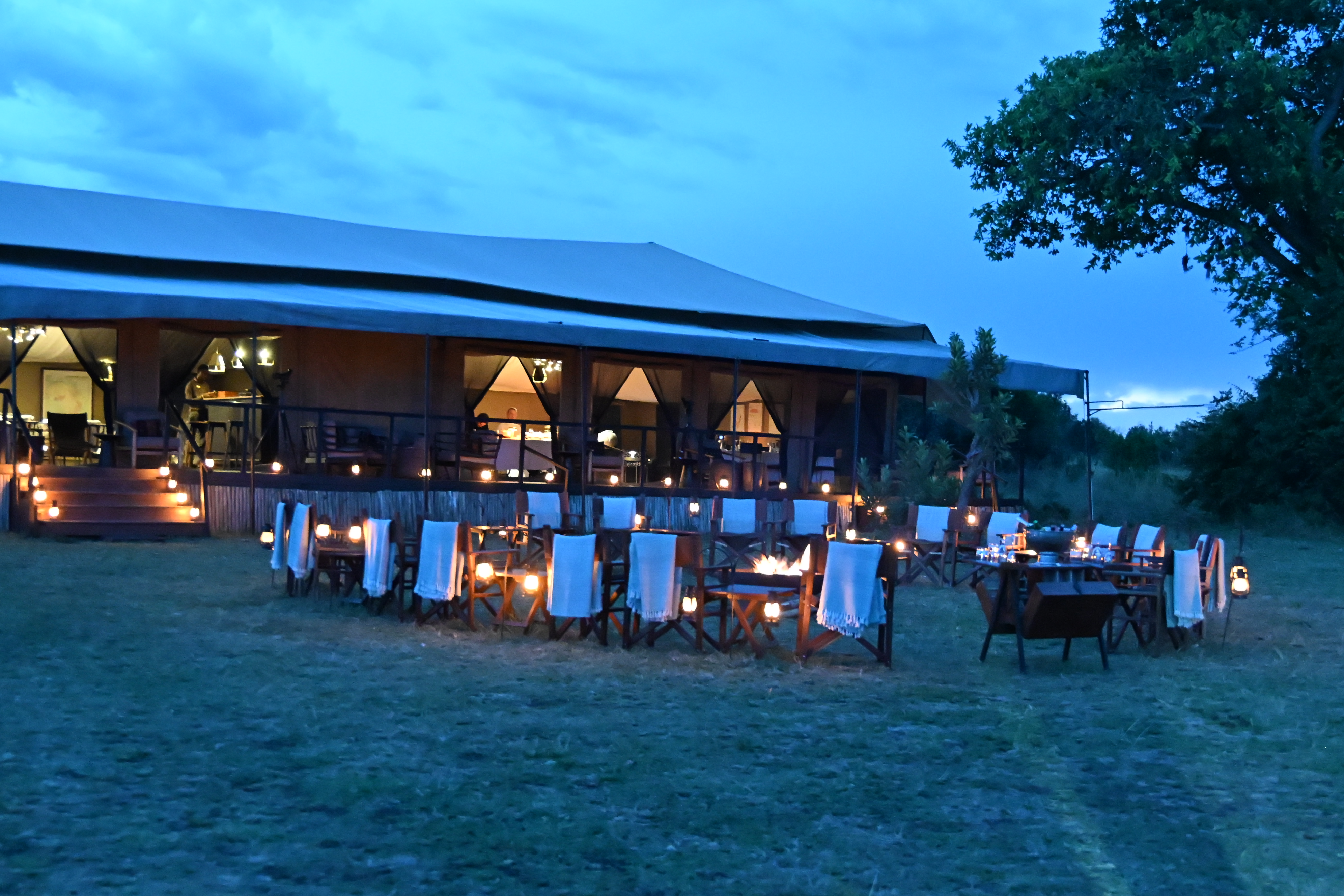 Leopard and evening scenery during the final Serengeti game drive