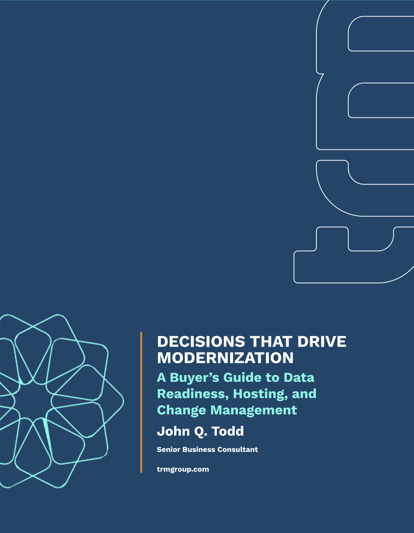 Whitepaper - A Buyer’s Guide to Data Readiness, Hosting, and Change Management