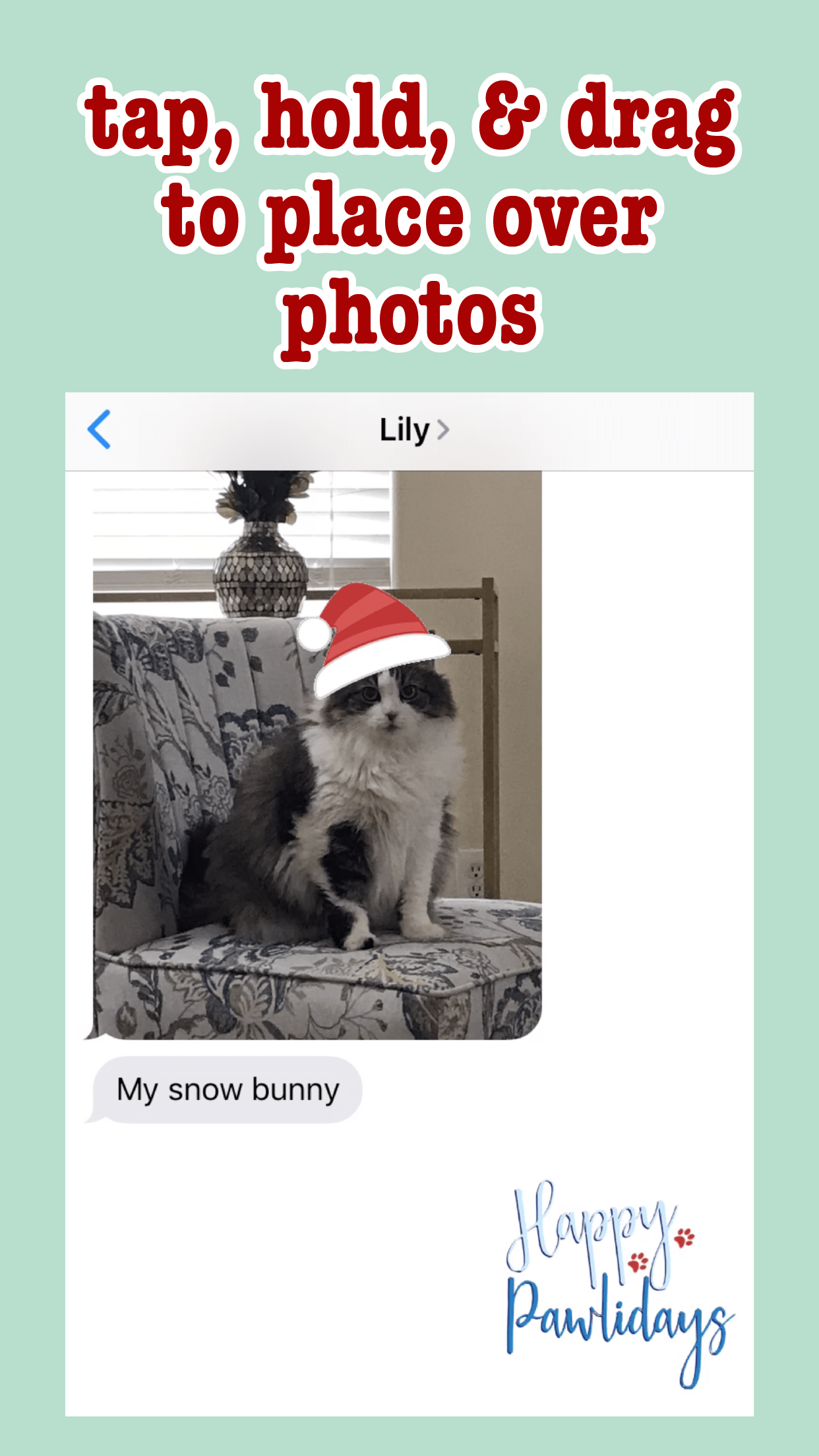 5.5-Inch iPhone Portrait Send Sticker - 3