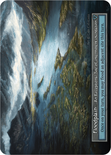 Floodplain (foil α) Exc.