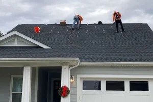 Understanding Government Rebate Programs