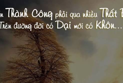 Khi thất bại bạn đã làm gì