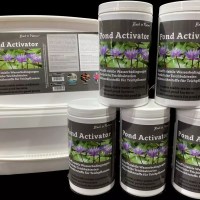 Pond Care