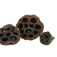 Lotus pods packed per 3