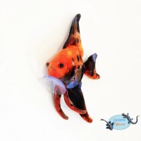 Sunset angel plush