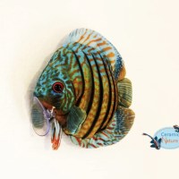 Discus fish plush