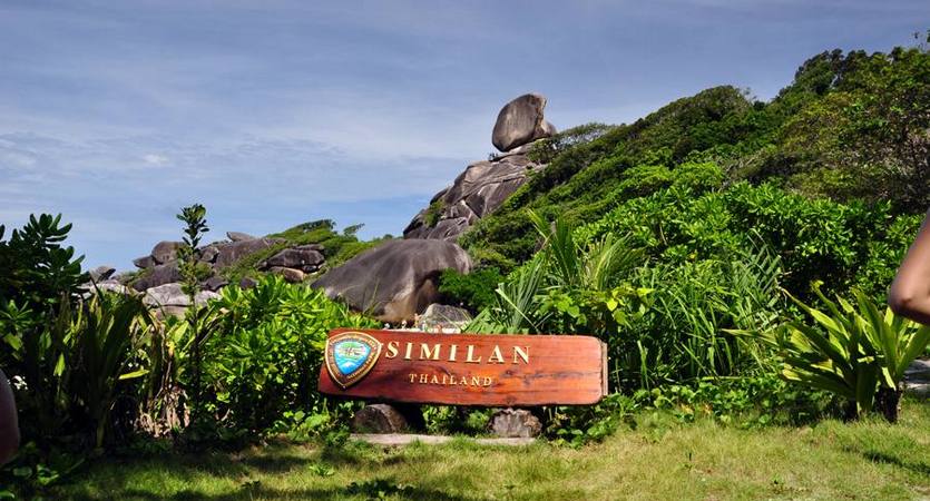 Мы проводим эту экскурсию более. Ekskursii S Phuketa Na Ostrova Similany Tropicbook