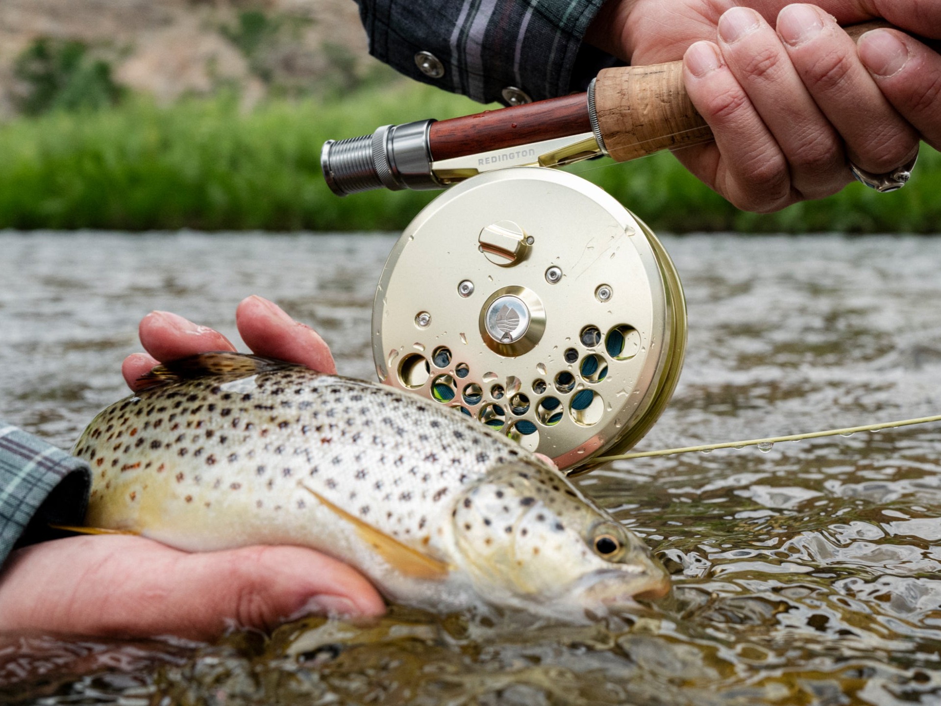 Redington Classic Trout Reel | Troutrageous!