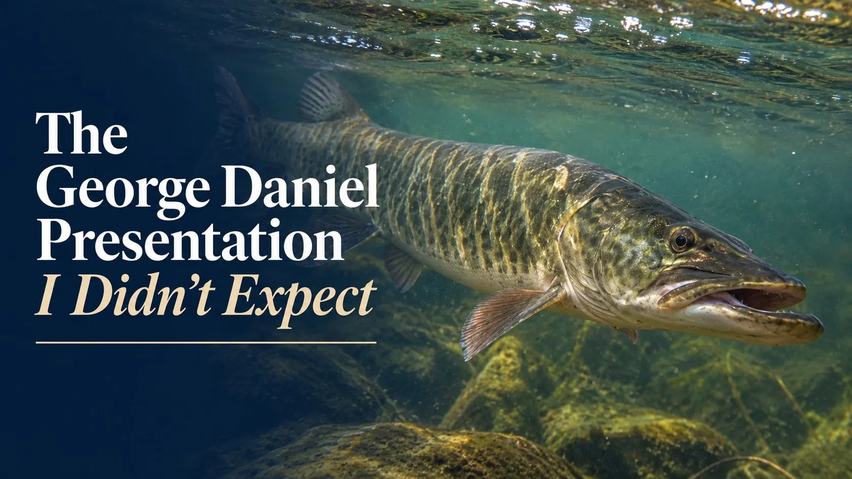 The George Daniel Presentation I Didn't Expect
