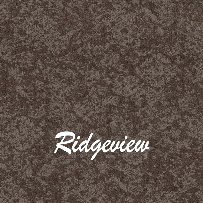 Free Spirit Ridgeview (and other colors) 100% ANSO® Nylon True Bullnose® Carpet Treads