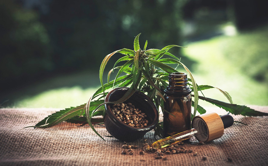 Image of Terpenes