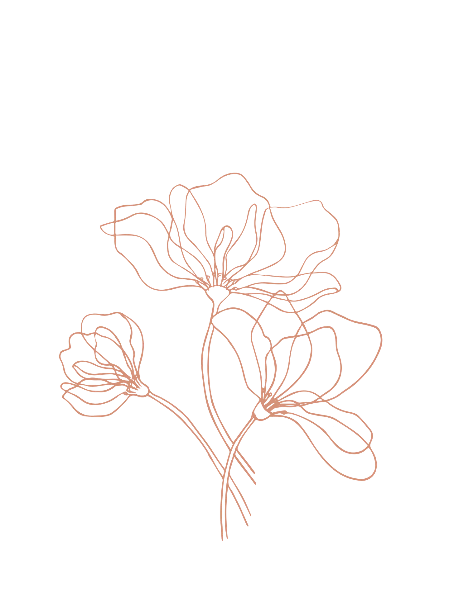 untitled design (37)
