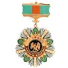 Custom Metal Army Air Force Military Medals Gold Coast Gaythorne How to Wear  India in Order of Prestige Military Police Honor Medal