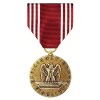 Metal Army Air Force Free Falklands War Florida Military Medal License Plates Winners Replacement Military Police Honor Medal