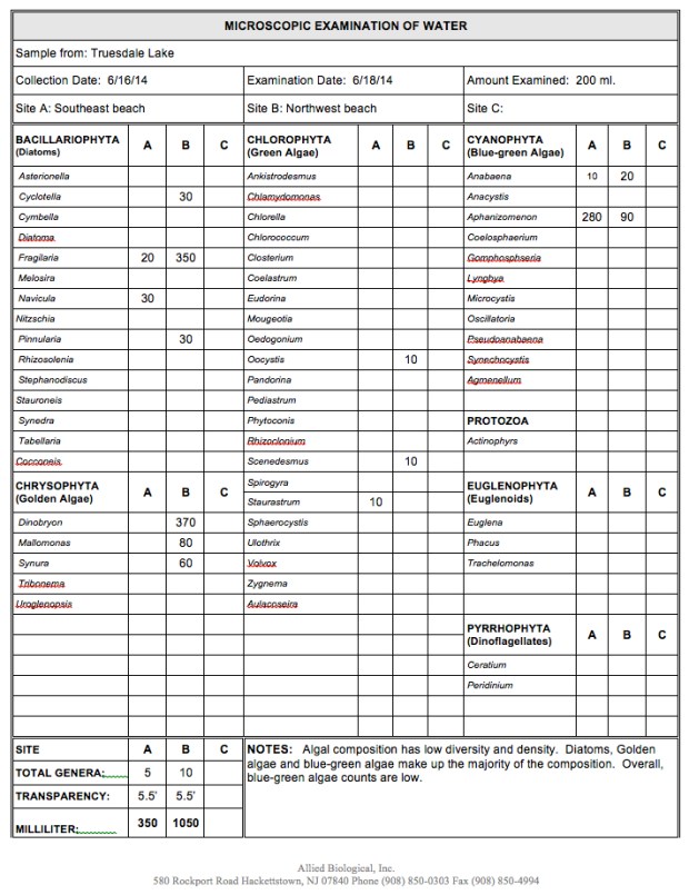 June 19, 2014 Algae Report