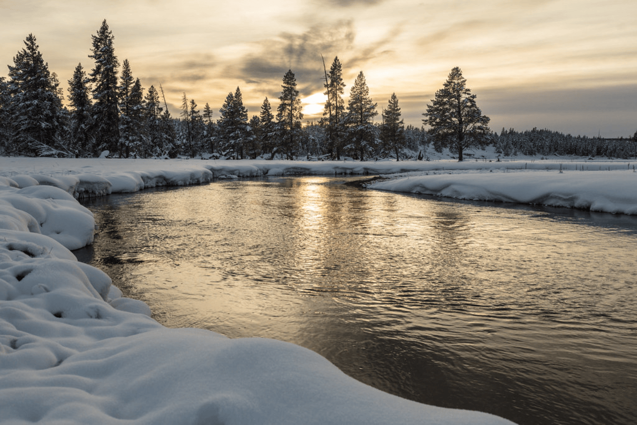 Winter Solstice: Get Still To Know Your Next Steps