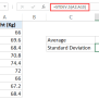 How To Calculate Standard Deviation In Excel (Step-by-Step)