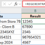 REGEX Functions In Excel (10 Examples)