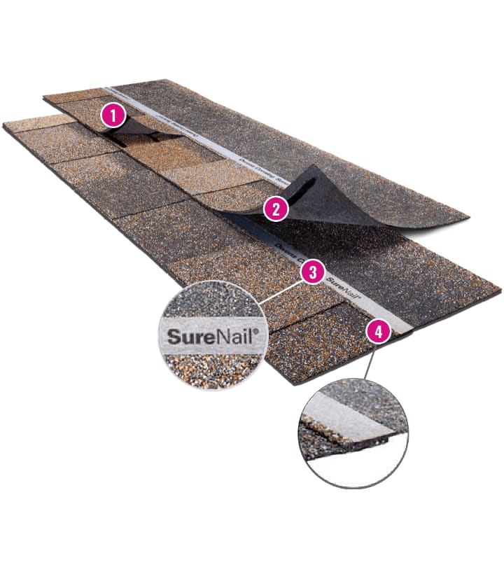 Close-up of asphalt roofing shingles with SureNail strip, showing reinforced nailing zone for durable, easy installation.