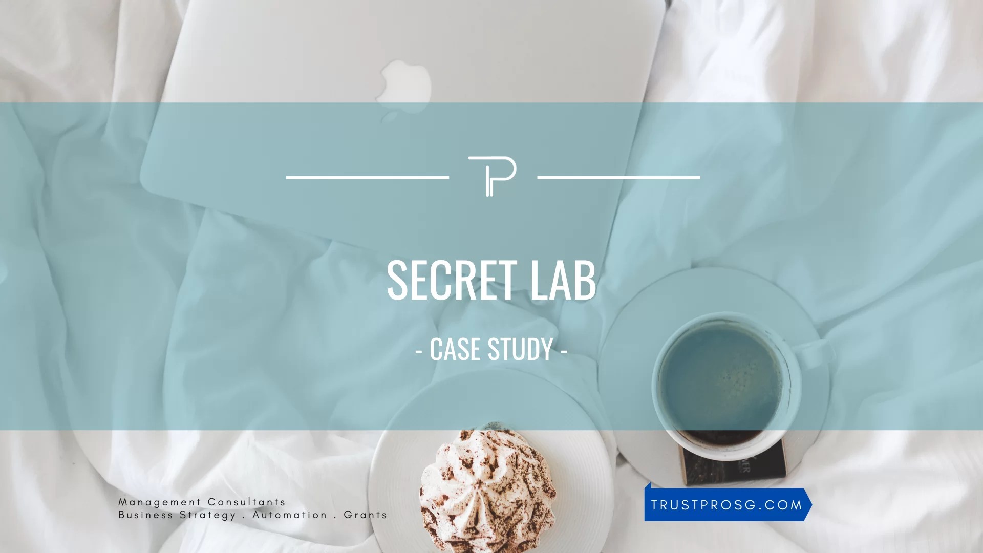 TrustPro - Secret Lab - Case Study - Business Strategy