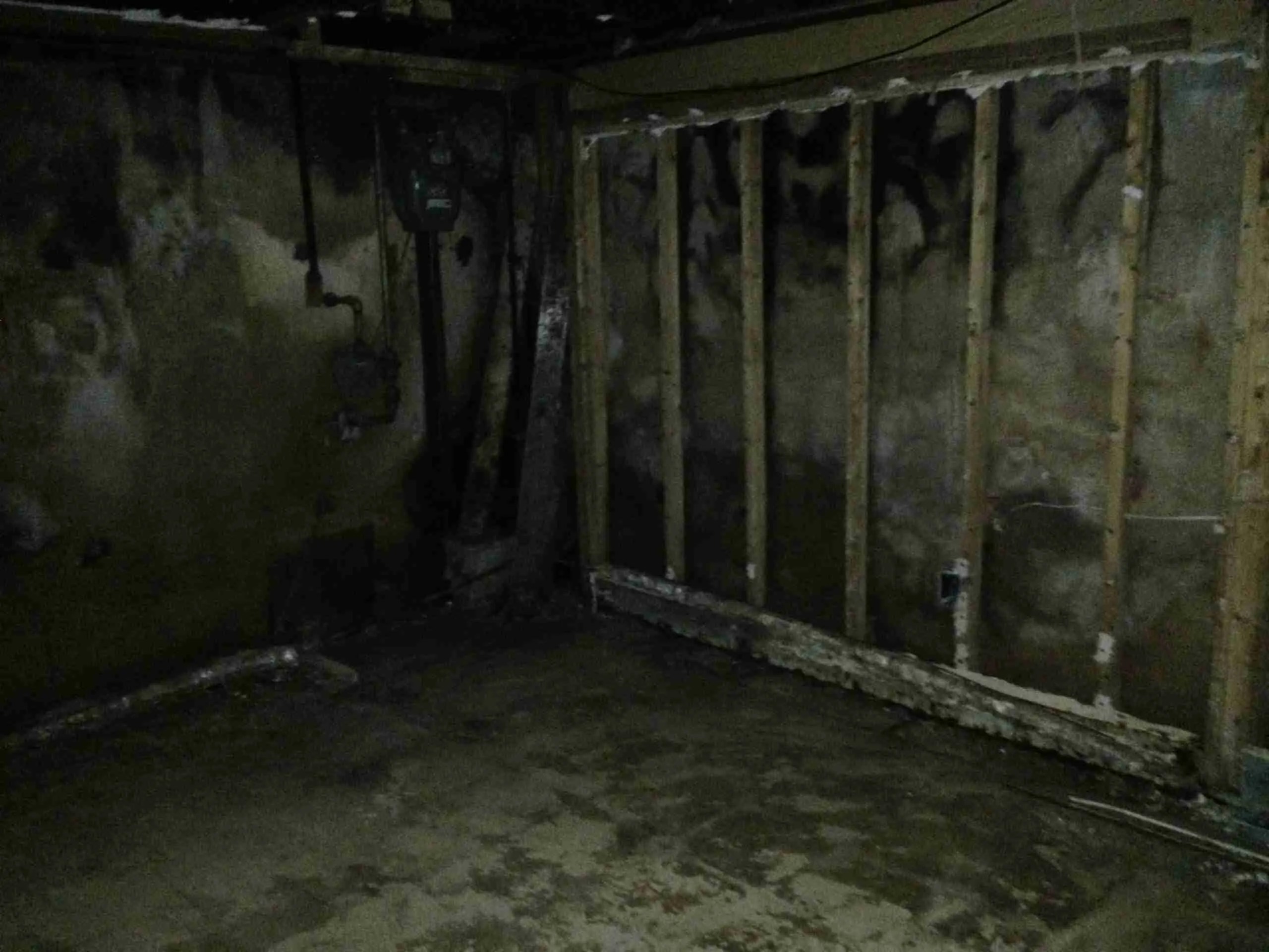 Mold Damage